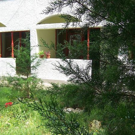 Pensiunea Ruxandra Venus Exterior foto